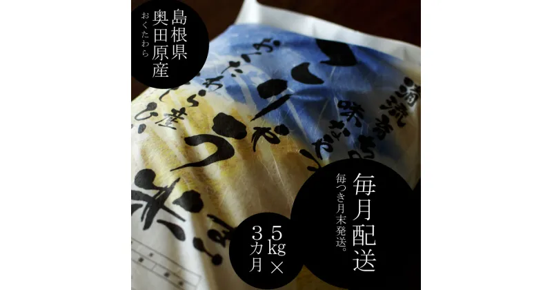 【ふるさと納税】＜定期便＞ こりゃう米(まい) 白米 5kg × 3ヶ月 ／ 新米 米 令和6年産 こりゃうまい コシヒカリ 中山間地 清流 高地 水