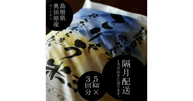 【ふるさと納税】 ＜定期便＞ こりゃう米(まい) 白米 5kg × 3回 隔月 ／ 新米 米 令和6年産 こりゃうまい コシヒカリ 中山間地 清流 高地 水