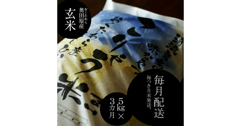 【ふるさと納税】 ＜定期便＞ こりゃう米(まい) 玄米 5kg×3ヶ月 毎月 ／ 新米 米 令和6年産 こりゃうまい コシヒカリ 中山間地 清流 高地 水