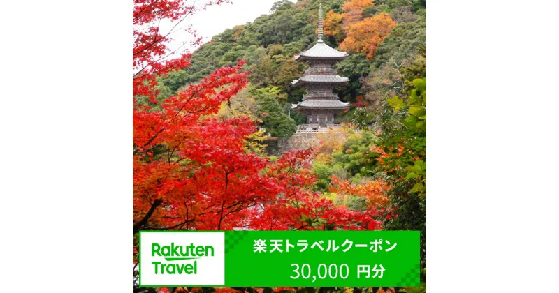 【ふるさと納税】島根県安来市の対象施設で使える楽天トラベルクーポン 寄附額100,000円