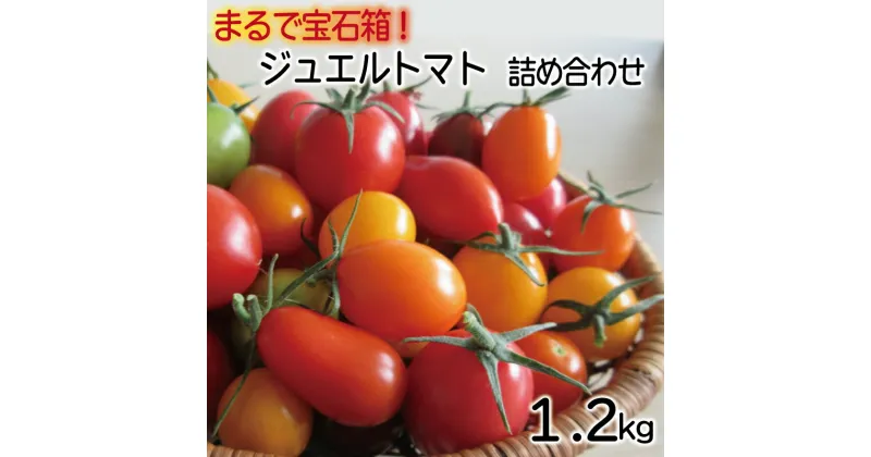 【ふるさと納税】ジュエル トマト 高糖度 フルーツトマト トマト 甘い 完熟 栄養