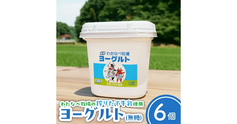 【ふるさと納税】ヨーグルト500g（プレーン）6個セット【無糖 ネッカ牛乳 ノンホモ製法乳製品 新生活 朝食 モーニング】