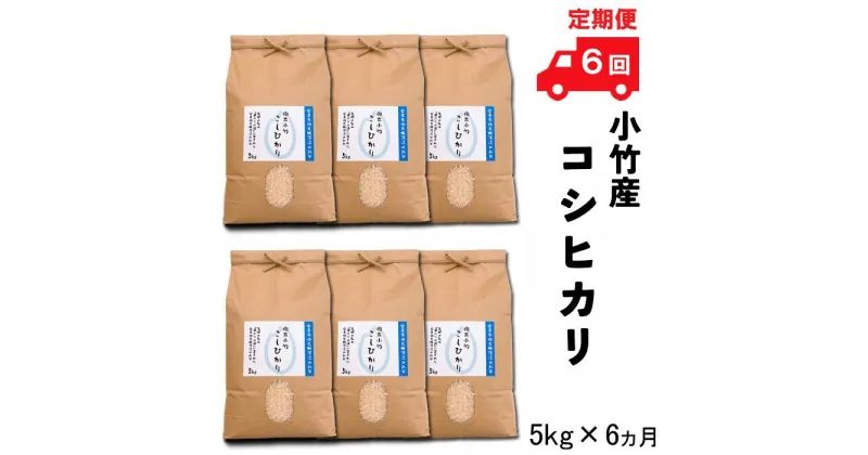 【ふるさと納税】【定期便】小竹産コシヒカリ 5kg×6ヵ月 【新米 精米 島根県 安来市 おいしい お米】