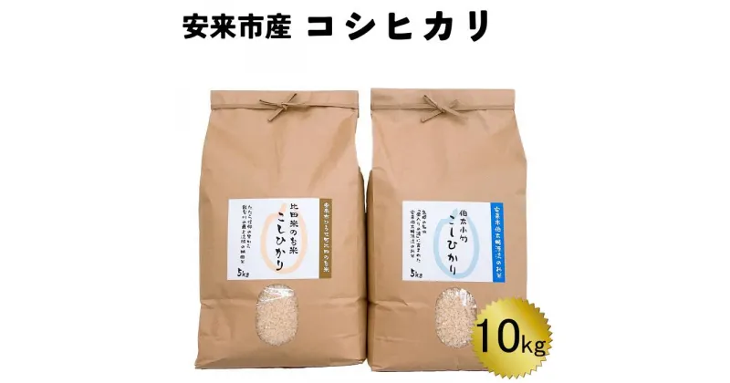 【ふるさと納税】安来市産コシヒカリ 10kg【新米 5kg 2袋 精米 島根県 安来市 おいしい お米】