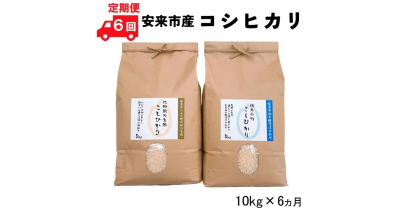 【ふるさと納税】【定期便】安来市産コシヒカリ 10kg×6ヵ月 【新米 5kg 2袋 精米 島根県 安来市 おいしい お米】