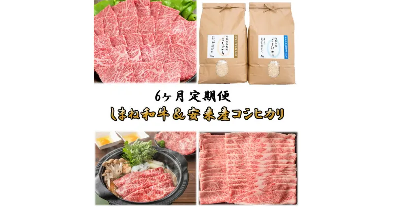 【ふるさと納税】【定期便】しまね和牛＆安来市産コシヒカリ 6ヵ月便　令和6年産 【新米 米 10kg 5kg 2袋 精米 カルビ 肩バラ モモ 肉 焼肉 すき焼き しゃぶしゃぶ 島根県 安来市 おいしい お米】