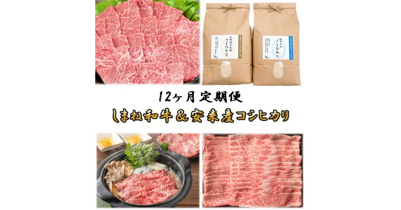 【ふるさと納税】【定期便】しまね和牛＆安来市産コシヒカリ 12ヵ月便［令和6年産］【新米 米 10kg 5k g2袋 精米 カルビ 肩バラ モモ 肉 焼肉 すき焼き しゃぶしゃぶ 島根県 安来市 おいしい お米】