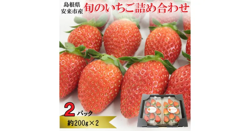 【ふるさと納税】早期予約 農場長厳選の美味しいいちご 400g (200g×2) パック 苺 詰め合わせ 島根県 安来市産 かおり野 紅ほっぺ よつぼし セット