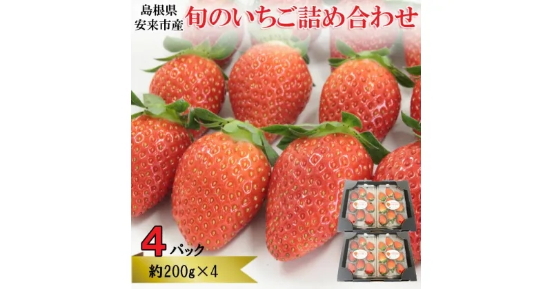 【ふるさと納税】早期予約 農場長厳選の美味しいいちご 800g 200g×4パック 苺 詰め合わせ 島根県 安来市産 かおり野 紅ほっぺ よつぼし セット