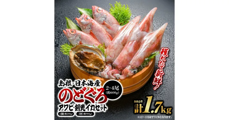 【ふるさと納税】鮮魚セットA 【のどぐろ2～4尾(約600g)・アワビ(約200g×1)・イカ(約300g×3)】計約1.7kg【YM-1】｜送料無料 のどぐろ アワビ イカ 島根 山陰 日本海産 魚介類 魚貝類 貝 海産物 魚 さかな あわび ノドグロ 鮮魚 剣先イカ ヤリイカ 煮付け 焼き魚 刺身｜