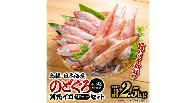 【ふるさと納税】鮮魚セットB【のどぐろ4～6尾（約1kg）・イカ（約300g×5）】計約2.5kg【YM-2】｜送料無料 のどぐろ イカ 島根 山陰 日本海産 魚介類 魚貝類 海産 海産物 魚 さかな いか ノドグロ 鮮魚 剣先イカ ヤリイカ 下処理済 煮付け 焼き魚 刺身 さしみ 厳選｜