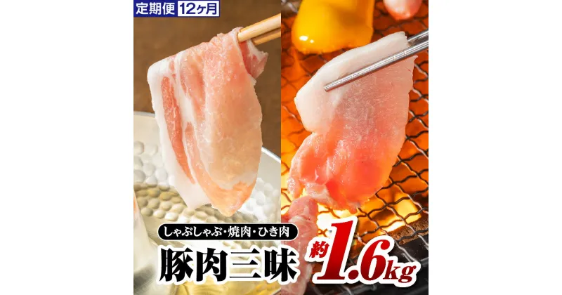 【ふるさと納税】定期便 12ヶ月 まる姫ポーク 豚肉三昧 約1.6kg(肩ロース バラ モモ切り落とし 粗ミンチ) 合計約19.2kg【AK-7】｜送料無料 国産 まる姫ポーク 豚肉 ぶた肉 肉 豚バラ肉 バラ肉 挽肉 ミンチ 切り落とし 焼き肉しゃぶしゃぶ 定期便 小分け パック セット｜