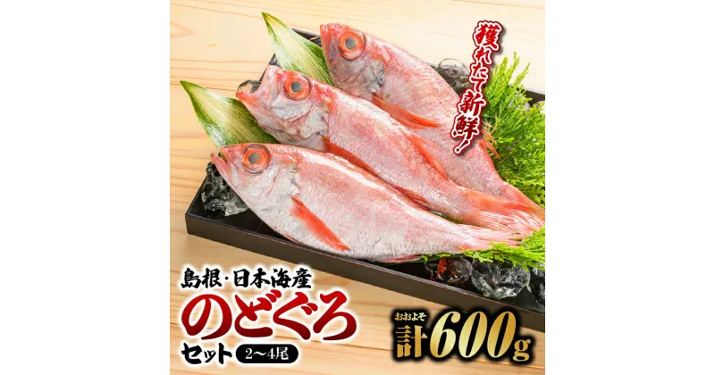 【ふるさと納税】鮮魚セットD【のどぐろ2～4尾 計約600g】【YM-4】｜送料無料 のどぐろ ノドグロ 島根 山陰 日本海産 魚介類 魚貝類 海産 海産物 おかず 下処理済 煮付け 刺身 さしみ 焼き魚 焼魚 魚 さかな 鮮魚 新鮮 せんぎょ 厳選 ｜