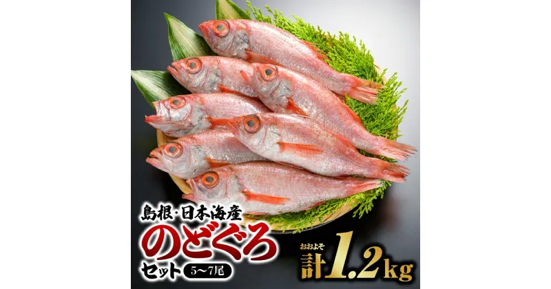 【ふるさと納税】鮮魚セットF のどぐろ 5～7尾 計約1.2kg【YM-6】｜送料無料 のどぐろ ノドグロ 魚 さかな 焼き魚 島根 山陰 日本海産 魚介類 魚貝類 海産 海産物 おかず 下処理済 煮付け 刺身 さしみ 鮮魚 新鮮｜　お届け：8月下旬～翌年5月末(6月～8月下旬まで禁漁のため)