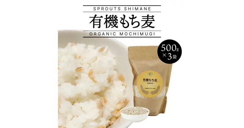 【ふるさと納税】有機もち麦 500g×3袋（計1500g）【SS-4】｜送料無料 もち麦 麦 雑穀 穀類 お米 ご飯 サラダ スープ ヘルシー カロリー 腸活 食物繊維 健康 健康志向 ダイエット プチプチ 有機栽培 チャック付き 計1500g｜