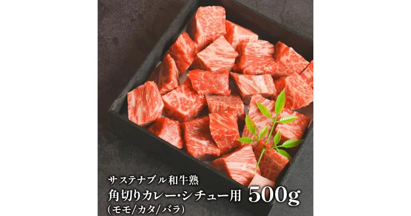 【ふるさと納税】サステナブル和牛 熟 角切り カレー・シチュー用（モモ/カタ/バラ） 500g