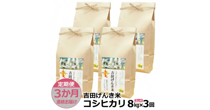 【ふるさと納税】【定期便3か月連続お届け】「吉田げんき米」コシヒカリ8kg（2kg×4）