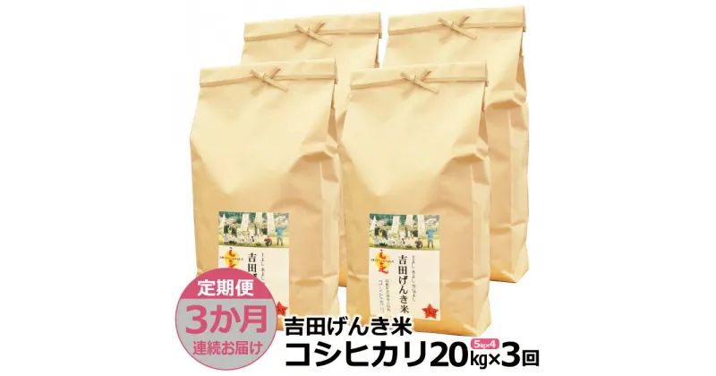 【ふるさと納税】【定期便3か月連続お届け】「吉田げんき米」コシヒカリ20kg（5kg×4）