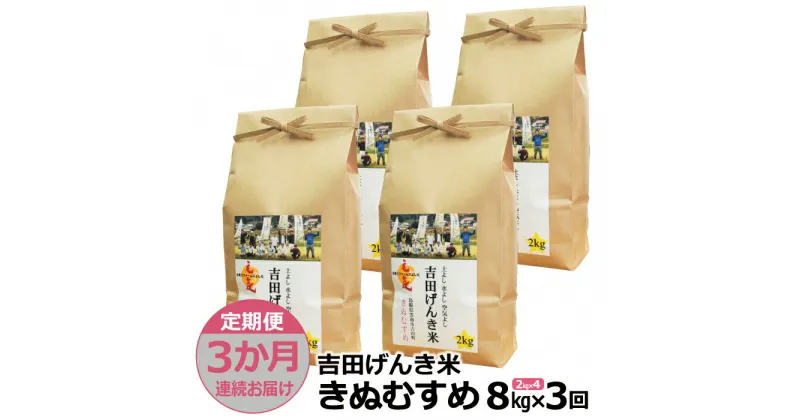 【ふるさと納税】【定期便3か月連続お届け】「吉田げんき米」きぬむすめ8kg（2kg×4）