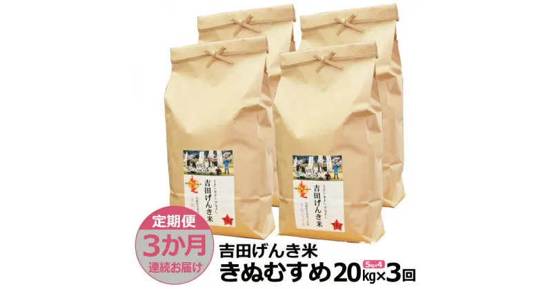 【ふるさと納税】【定期便3か月連続お届け】「吉田げんき米」きぬむすめ20kg（5kg×4）