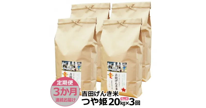 【ふるさと納税】【定期便3か月連続お届け】「吉田げんき米」つや姫20kg（5kg×4）