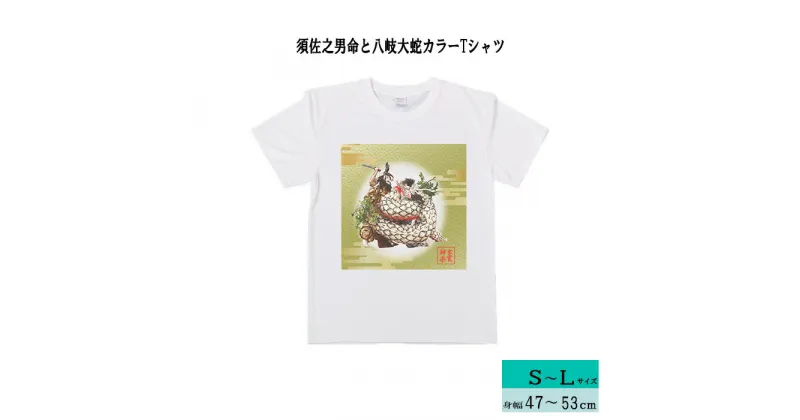 【ふるさと納税】出雲神楽 須佐之男命と八岐大蛇カラーTシャツ/島根県 雲南市 神楽 いずもかぐら 半袖 オリジナルTシャツ Tシャツ シャツ スサノオ ヤマタノオロチ