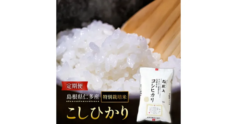 【ふるさと納税】 島根県仁多産 コシヒカリ 特別栽培米 定期便 新米 2024年度産 令和6年度産 小分け こしひかり 安心 安全 精米 白米 ブランド米 贈り物 贈答 プレゼント ギフト