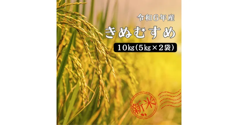 【ふるさと納税】令和6年産　米 しまね川本 きぬむすめ 10kg(5kg×2) 島根県 川本町産 老舗米屋 厳選 藤屋