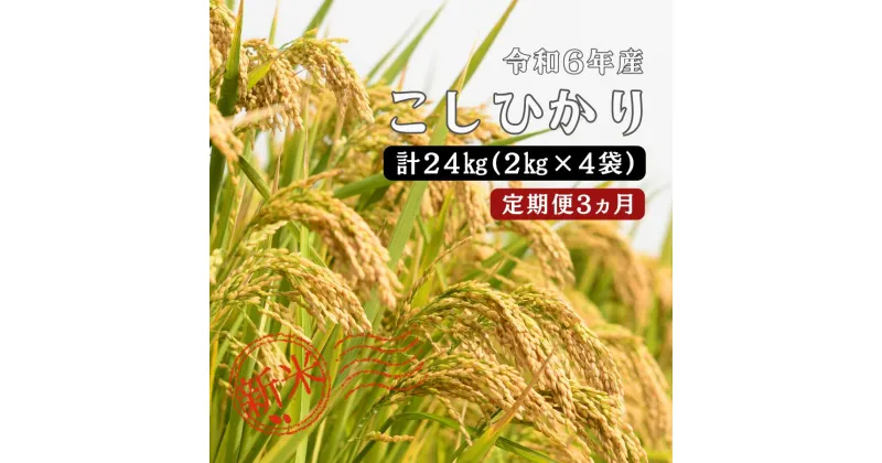 【ふるさと納税】令和6年産 ／お米定期便／3ヵ月 しまね川本 こしひかり 2kg×4 (計24kg） 島根県 川本町産 コシヒカリ 藤屋 石見米