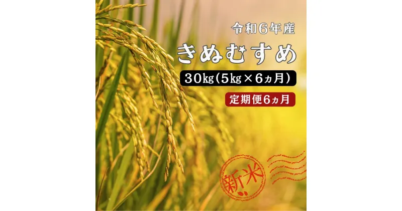 【ふるさと納税】令和6年産 ／お米定期便／6ヵ月　しまね川本 きぬむすめ 5kg (計30kg） 島根県 川本町産 老舗米屋 厳選 藤屋