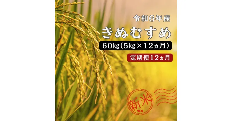 【ふるさと納税】令和6年産 ／お米定期便／12ヵ月　しまね川本 きぬむすめ 5kg (計60kg） 島根県 川本町産 老舗米屋 厳選 藤屋