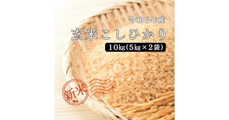 【ふるさと納税】令和6年産 しまね川本 玄米 10kg(5kg×2袋) 島根県 川本町産 玄米 藤屋 石見米