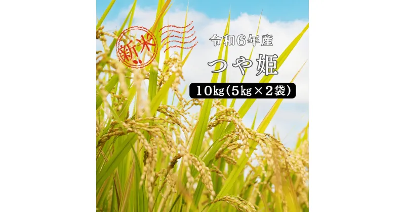 【ふるさと納税】令和6年産 つや姫 10kg(5kg×2) 島根県 川本町産 精米 藤屋 石見米