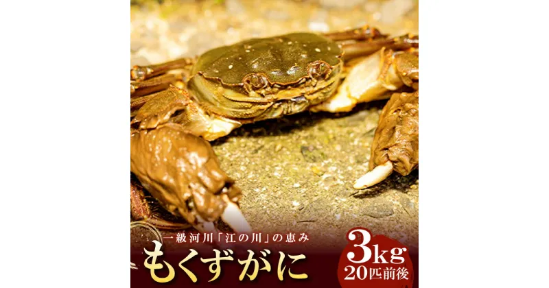 【ふるさと納税】 先行予約 もくずがに 約3kg 20匹前後 オスメス無選別 国産 カニ 塩ゆで みそ汁 寿司 すし 煮物 釜めし 冷蔵 特産品 お取り寄せ グルメ