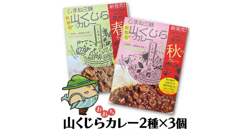 【ふるさと納税】 みさと産直 猪肉 キーマカレー 2種 セット 松 各3個入【加工食品 レトルト 缶詰 惣菜 キーマカレーセット イノシシ肉 大豆 ジビエ】国産 即席 簡単 温めるだけ 非常食 長期保存 特産品 詰め合わせ お取り寄せ グルメ