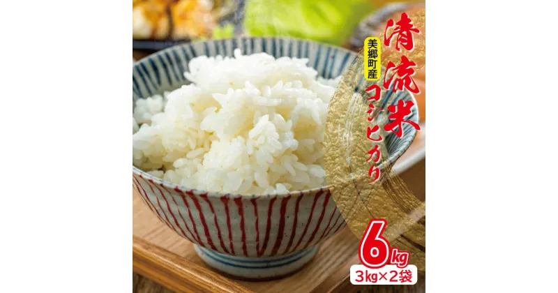 【ふるさと納税】 清流米 コシヒカリ 3kg×2袋 計6kg お米 米 精米 こしひかり 3kg 2袋 合計6kg 小分け 便利