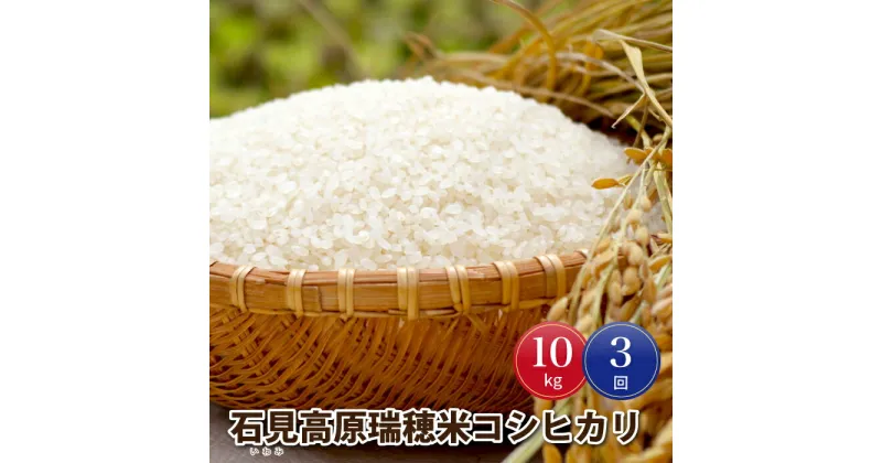 【ふるさと納税】令和6年産【定期便3回】邑南町産石見高原瑞穂米10kg