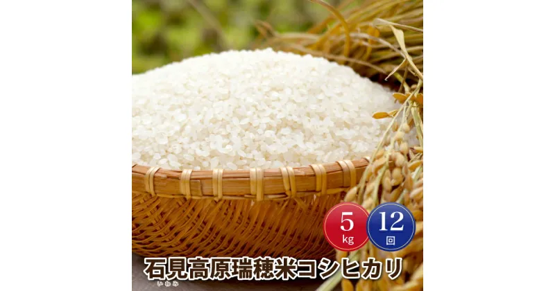 【ふるさと納税】令和6年産【定期便12回】邑南町産石見高原瑞穂米5kg