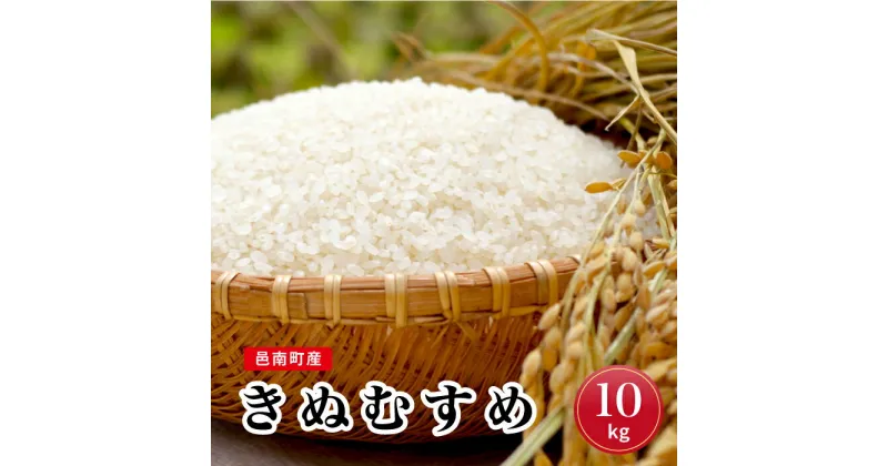 【ふるさと納税】 令和6年産 邑南町産きぬむすめ10kg