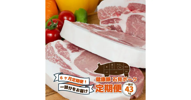 【ふるさと納税】【定期便】豚肉 石見ポーク　豚まるごと1頭セット43kg【月2回×6か月】