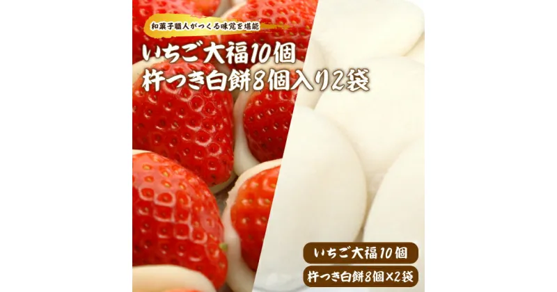 【ふるさと納税】【先行予約】和菓子職人がつくるいちご大福 と杵つき白餅セット