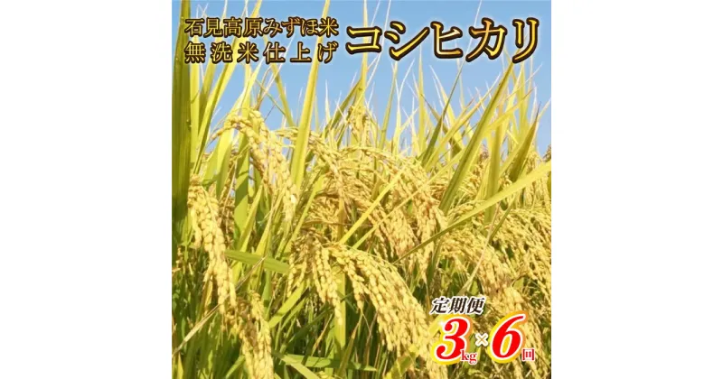 【ふるさと納税】令和6年産【定期便6回】石見高原みずほ米コシヒカリ 無洗米仕上 3kgx6回