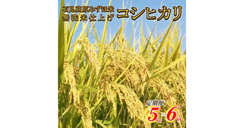 【ふるさと納税】令和6年産【定期便6回】石見高原みずほ米コシヒカリ 無洗米仕上 5kgx6回