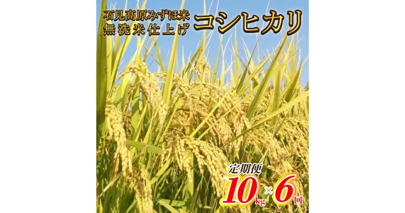 【ふるさと納税】令和6年産【定期便6回】石見高原みずほ米コシヒカリ 無洗米仕上 10kgx6回