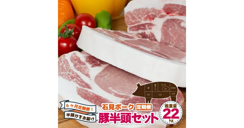 【ふるさと納税】【6ヶ月定期便】豚肉 石見ポーク 豚半頭セット　総重量22kg！