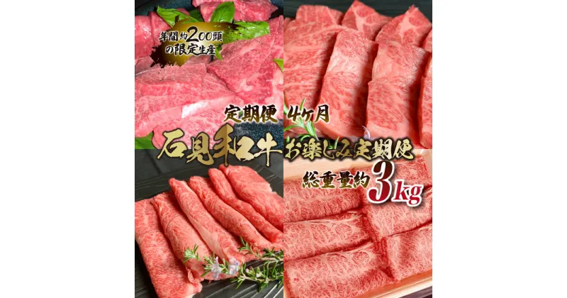 【ふるさと納税】【定期便-4ヶ月】石見和牛お楽しみ定期便 （焼肉・すき焼き）総重量約3kg