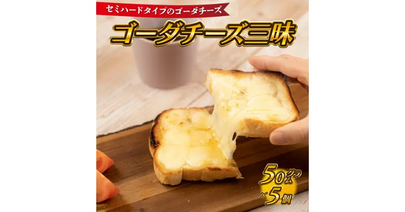 【ふるさと納税】【島根県産】ゴーダチーズ三昧　（50g×5個）