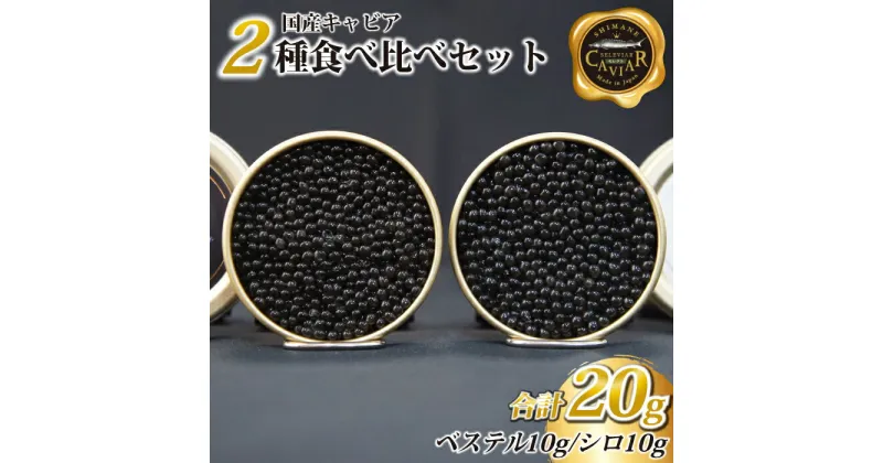 【ふるさと納税】キャビア2種セット計20g（ベステル10g・シロ10g）