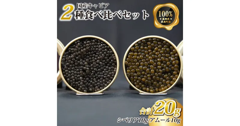 【ふるさと納税】キャビア2種セット計20g（シベリア10g・アムール10g）