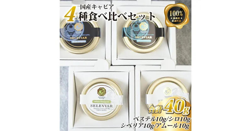 【ふるさと納税】キャビア4種食べ比べセット計40g（4種各10g）